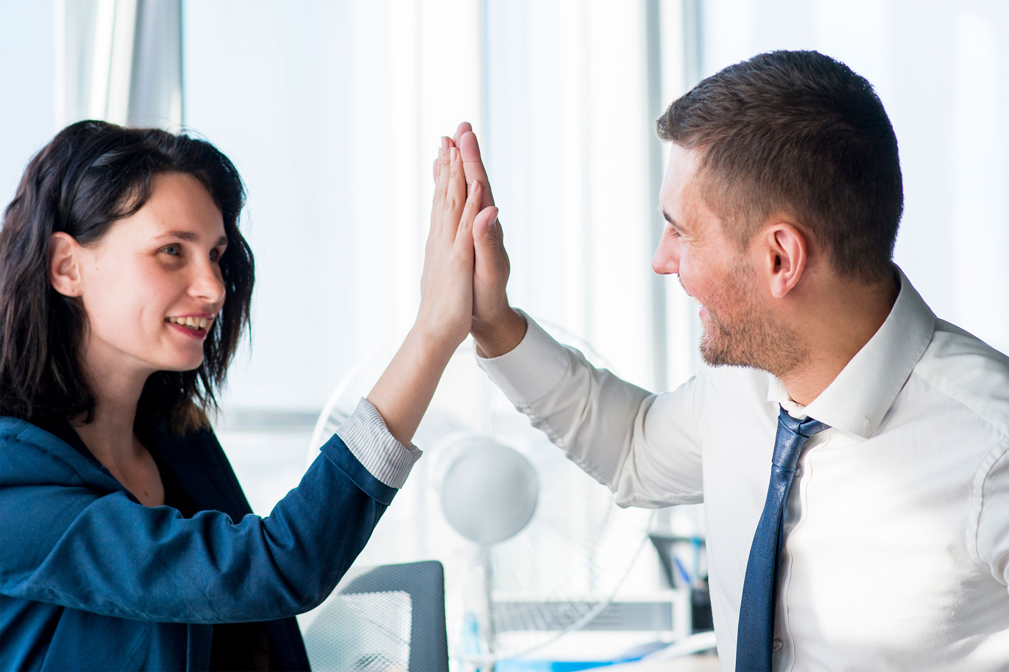 about trellisfalcon image